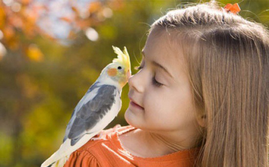 Чем опасны для детей попугаи?